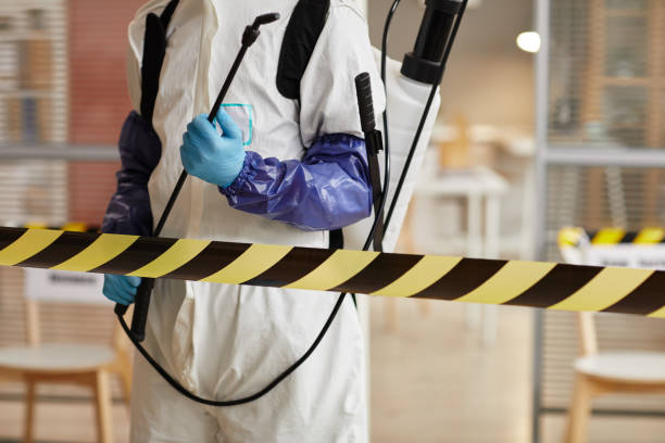 Professional Hoarding Cleanup technician working in Hutto, TX